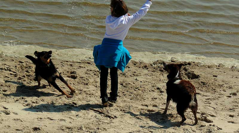 Frau mit Hunden am Strand