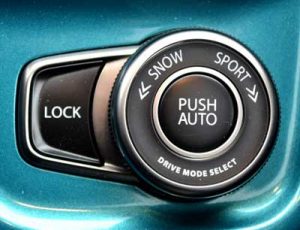 Suzuki Vitara Control Button