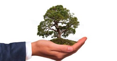 Ich will doch nur ein kleines bisschen die Welt retten! Baum in einer schützenden Hand