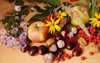 Äpfel, Nüsse, Beeren und herbstliche Blumen auf einem Tisch