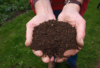 Hände, die kompostierte Erde halten