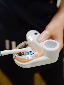 Zahnarzt zeigt richtiges Zähneputzen anhand eines künstlichen Gebisses