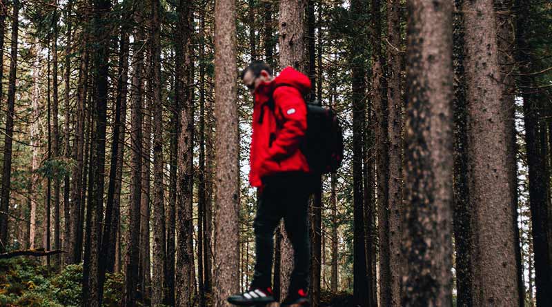 Mann in roter Regenjacke wandert durch den Wald