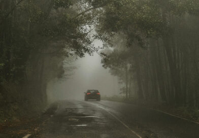 Ein Auto, das auf einer einsamen Straße durch einen neblig-feuchten Wald fährt.