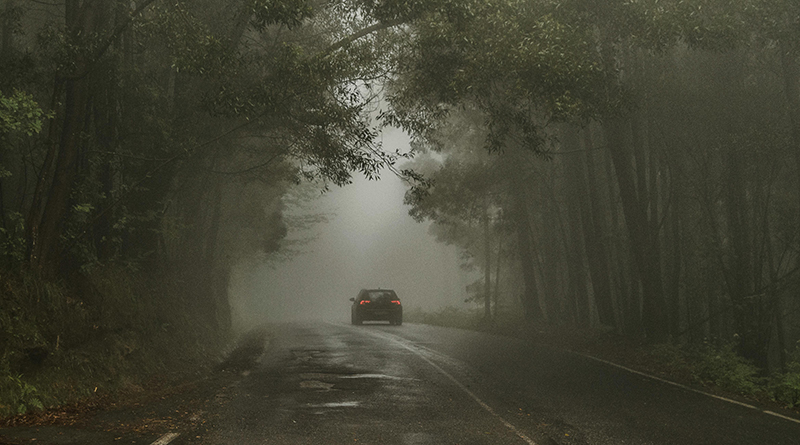 Ein Auto, das auf einer einsamen Straße durch einen neblig-feuchten Wald fährt.