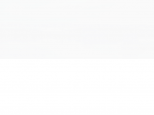 Screenshot des Blogs Trendkurve.de Trends 2.x