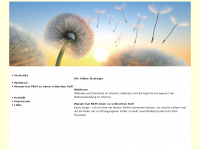 Screenshot des Blogs Die Online Strategie – Geld verdienen im Internet