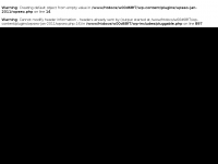 Screenshot des Blogs professional webwork