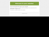 Screenshot des Blogs top-shop-store.de