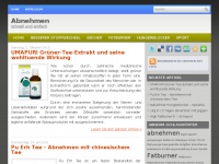 Screenshot des Blogs Abnehmen – schnell und einfach