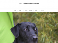 Screenshot des Blogs Retriever-Blog