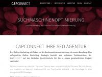 Screenshot des Blogs Ulm SEO