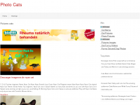 Screenshot des Blogs Artikelportal