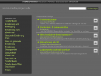 Screenshot des Blogs Social Media Projects