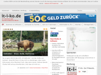 Screenshot des Blogs it-i-ko