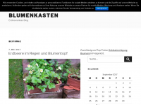 Screenshot des Blogs Erdbeeranbau im Blumenkasten Blog
