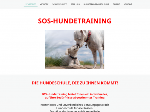 Screenshot des Blogs Mobiles Hundetraining