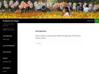 Screenshot des Blogs Michaels EDV-Blog
