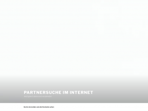 Screenshot des Blogs Partnersuche im Internet