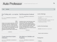 Screenshot des Blogs Auto-Professor
