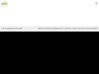 Screenshot des Blogs Salz Blog :: Werbeagentur Berlin :: Werbung // Design // Grafik // SEO // SEM