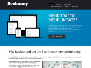 Screenshot des Blogs Seo Blog von SeoBunny