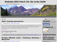 Screenshot des Blogs Website-SEO-Check