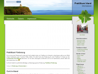 Screenshot des Blogs Praktikum in Irland