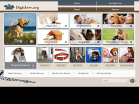 Screenshot des Blogs Kinzis-Shop-wo wir sind ist oben-