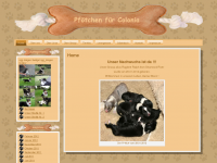 Screenshot des Blogs Blog rund um SEO,SEM und Internetrecht