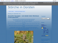 Screenshot des Blogs Störche in Dorsten