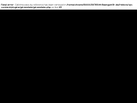 Screenshot des Blogs Th3lastgam3r – Kritische Berichte – Überall
