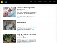 Screenshot des Blogs Fizzer.ch – interessante NEWS aus der ganzen Welt!
