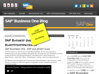 Screenshot des Blogs SAP Business One Blog