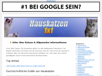 Screenshot des Blogs KittiKitti