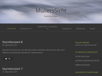 Screenshot des Blogs MüllersSicht