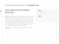 Screenshot des Blogs Der Konsument