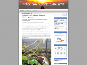 Screenshot des Blogs PeterPan’s Blick in die Welt