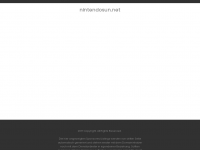 Screenshot des Blogs Nintendosun