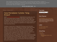 Screenshot des Blogs *SCHMETTERLINGSMÄDCHEN