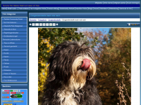 Screenshot des Blogs Tierwelt & Natur erleben – Tier – Natur Fotos –