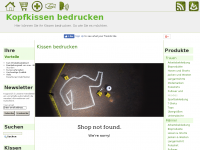 Screenshot des Blogs Kopfkissen bedrucken