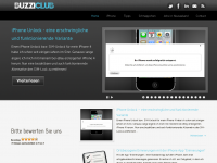 Screenshot des Blogs Buzzi-Club