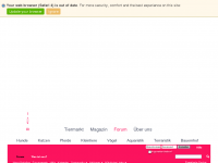 Screenshot des Blogs Einmal ausspannen und sich bedienen lassen