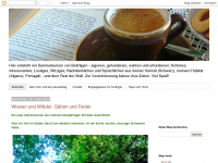 Screenshot des Blogs das pausenblog