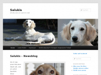 Screenshot des Blogs Salukis | Windhunde von wahrem Adel