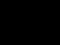 Screenshot des Blogs Vater sein