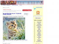 Screenshot des Blogs abgefahrn Satire Blog
