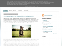 Screenshot des Blogs Hatschi – Alles rund um die Gesundheit