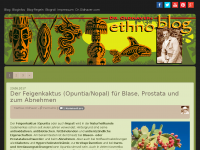 Screenshot des Blogs Dr. Oldhavers Ethnoblog